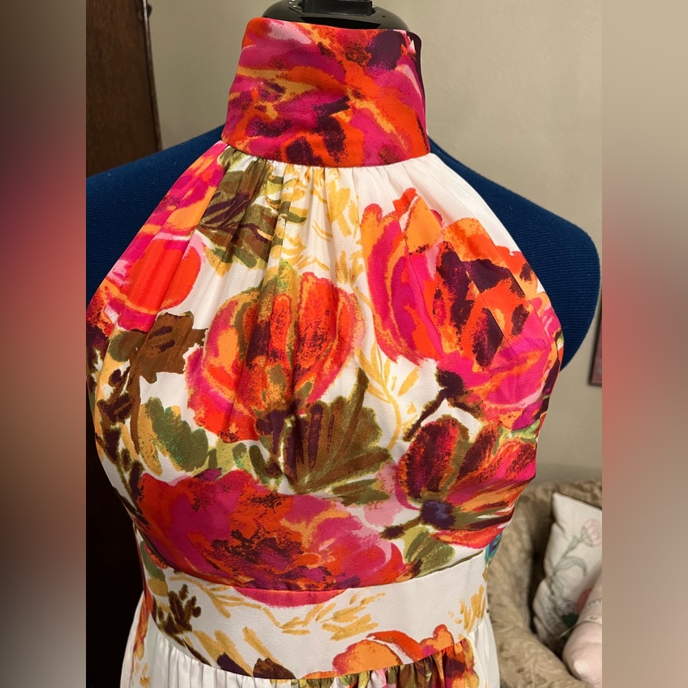 Women’s Eliza J Halter Floral Print Maxi Dress Size 10